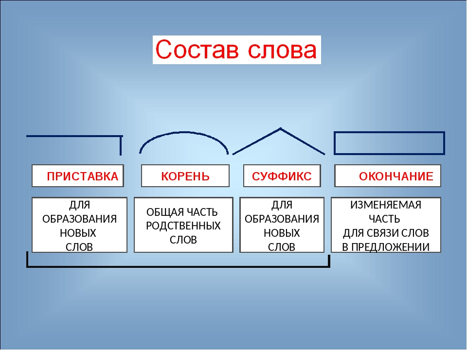 Часть слова до окончания 6. Основа слова. Что такое основа слова в русском языке. Основа слова 3 класс. Выделение основы снова.