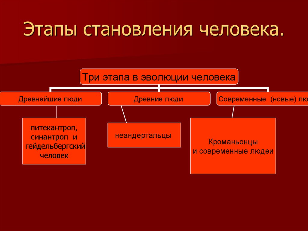 Формирование человека произошло