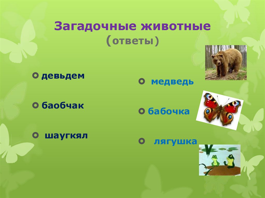 На какой вопрос отвечает животные. Животные с вопросом. Вопросы про животных. Игра "загадочные животные". Животные подсказка.