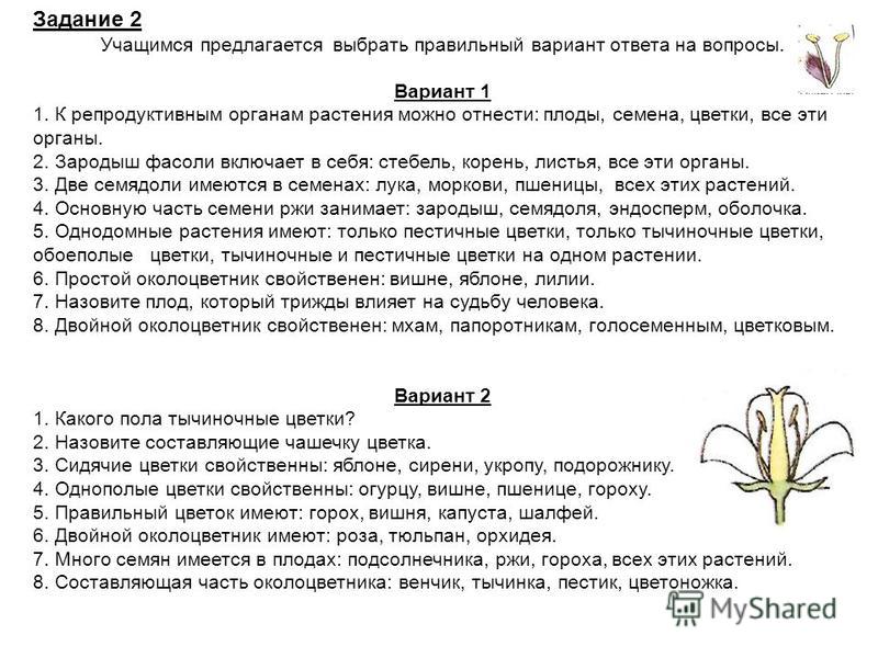 Биология 6 класс вариант 2. Работа по биологии 6 класс. Задания по биологии 6 класс. Задания по биологии 6 класс цветок. Лабораторная работа плоды растений.