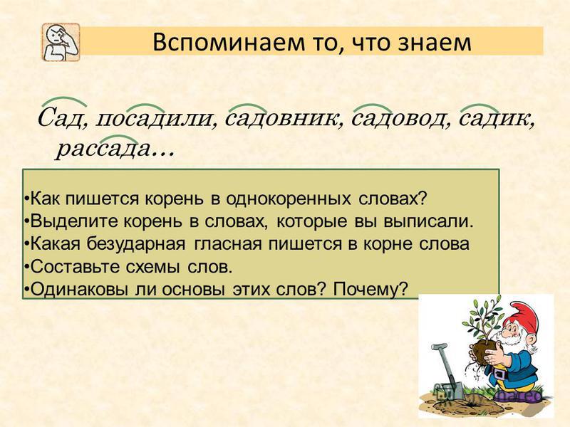 Состав слова пишется. Разбор слова сад. Предложение со словом садовник. Садовник разбор слова по составу. Разбор слова садовый.