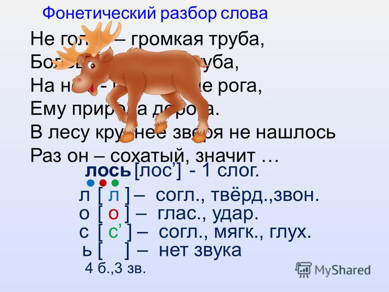 Лес звуко буквенный анализ. Фонетический разбор. Звуковой анализ слова. Звуковой разбор слова. Звуко буквенный анализ слова лес.