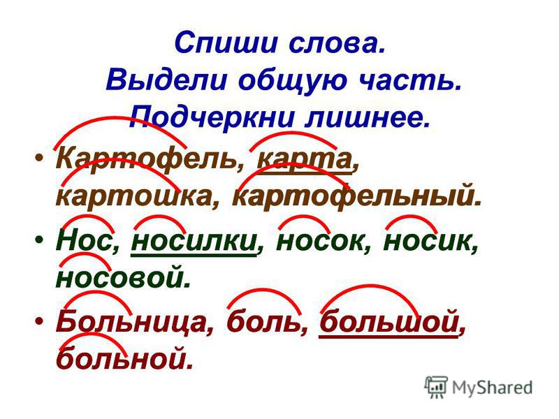 Слова с корнем оч. Картофель однокоренные слова. Однокоренные слова к слову картошка. Картошка родственные слова. Картошка и картофель это однокоренные слова.