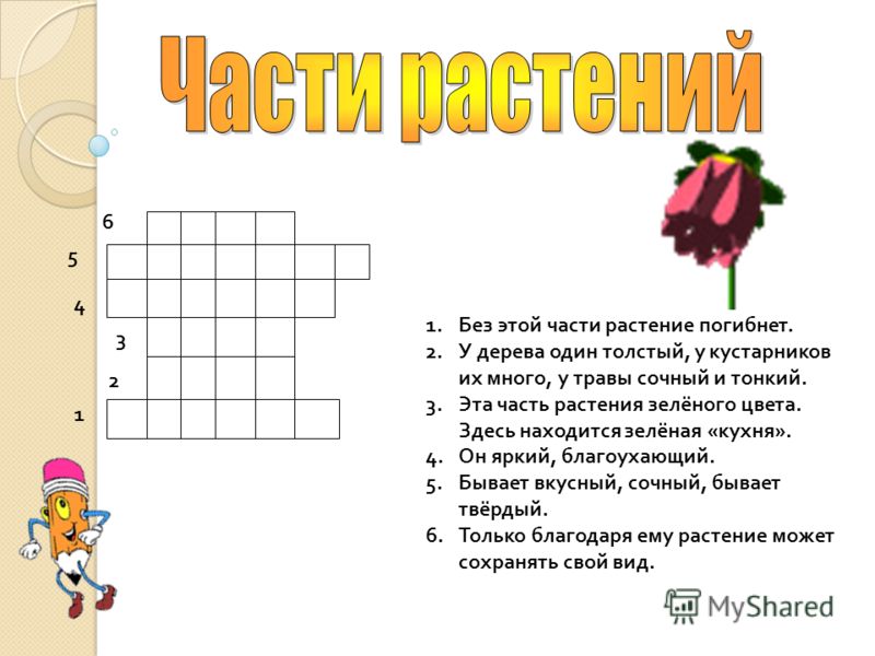 Кроссворд растения. Кроссворд на тему растения. Кроссворд растения для детей. Красвордтнамтему растения. Кроссворд на тему цветы.