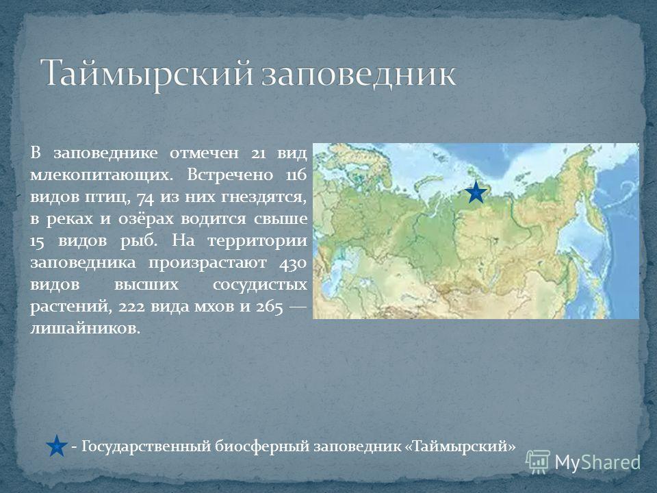 Какие заповедники находятся в зоне. Таймырский заповедник природная зона. Где находится Таймырский заповедник. Таймырский заповедник на карте. Таймырский заповедник на карте природных зон.