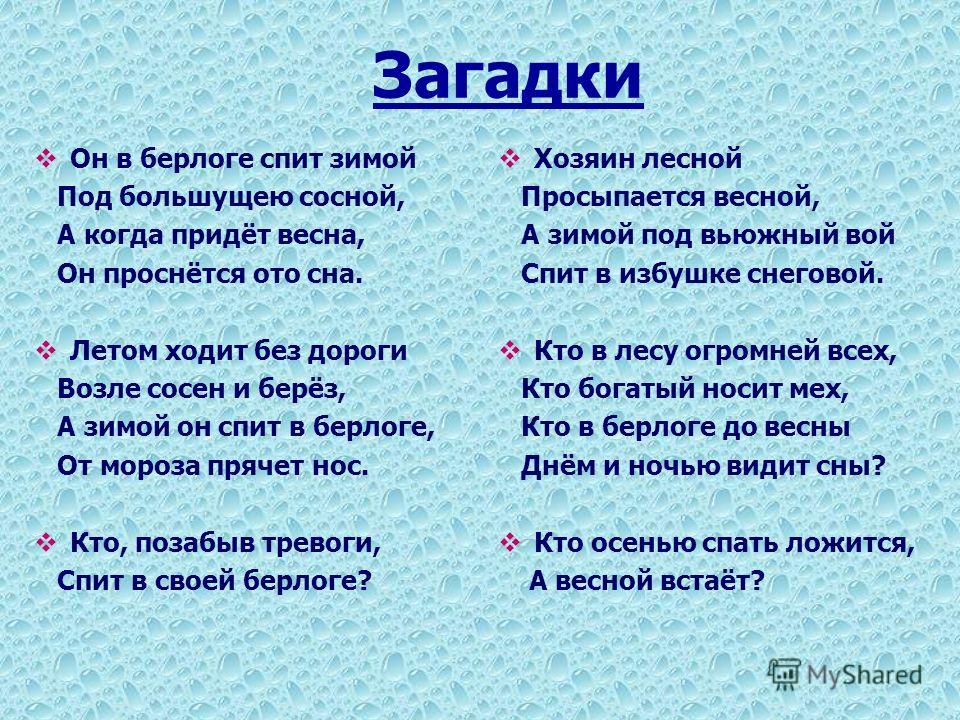 Загадка про медведя для детей. Загадки без ответов. Загадки про зиму. Загадка про медведя. Загадка про медведя 2 класс.