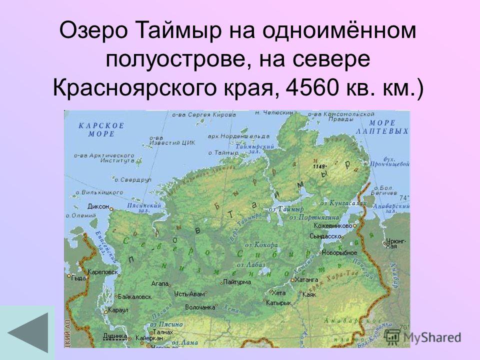 Расположение озер. Озеро Таймыр на карте России. Озеро Таймыр на карте. Озеро Таймыр на карте России физической. Таймыр полуостров географическая карта.