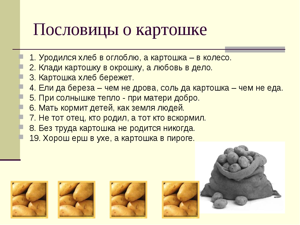 Включи про картошку. Картошка для презентации. Картофель презентация. Интересные факты о картофеле. Интересные истории про картошку.