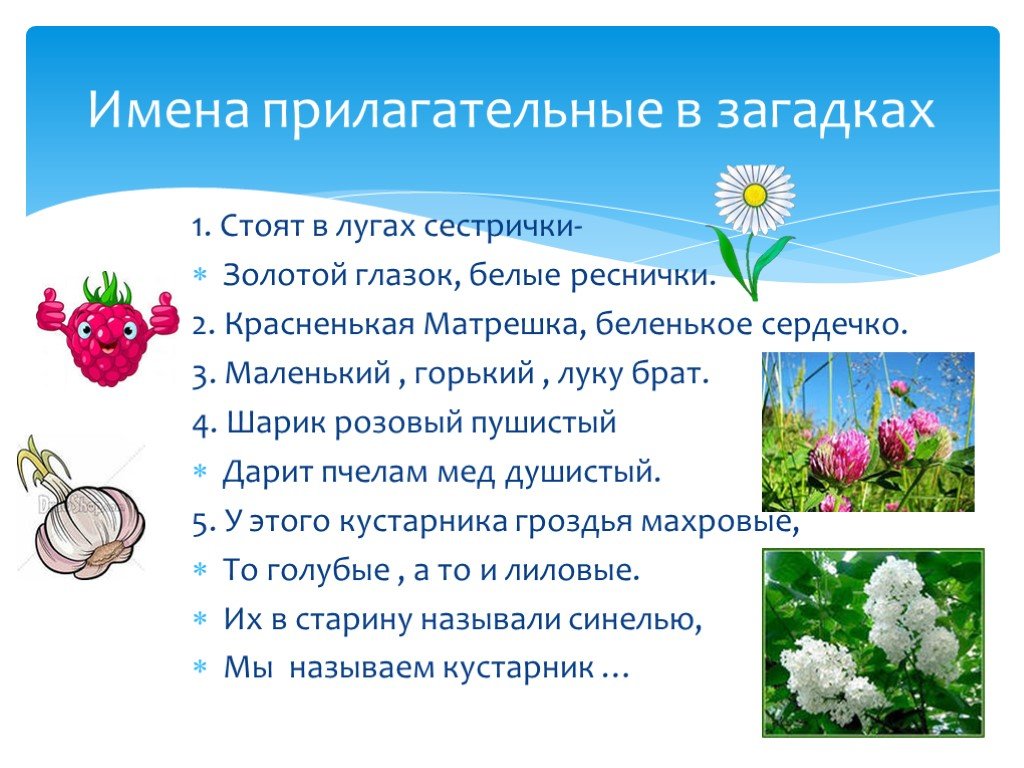 1 имена прилагательные. Проект по русскому языку 3 класс имена прилагательных в загадках. Проект 3 класс русский язык загадки с именами прилагательными. Имена прилагательные в загадках. Проект имена прилагательные в загадках.