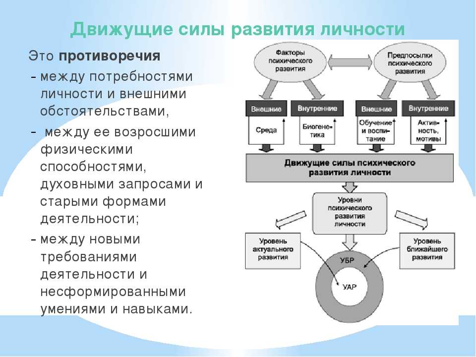 Стиль Повседневной Жизни Личности Определяется Основными Детерминантами