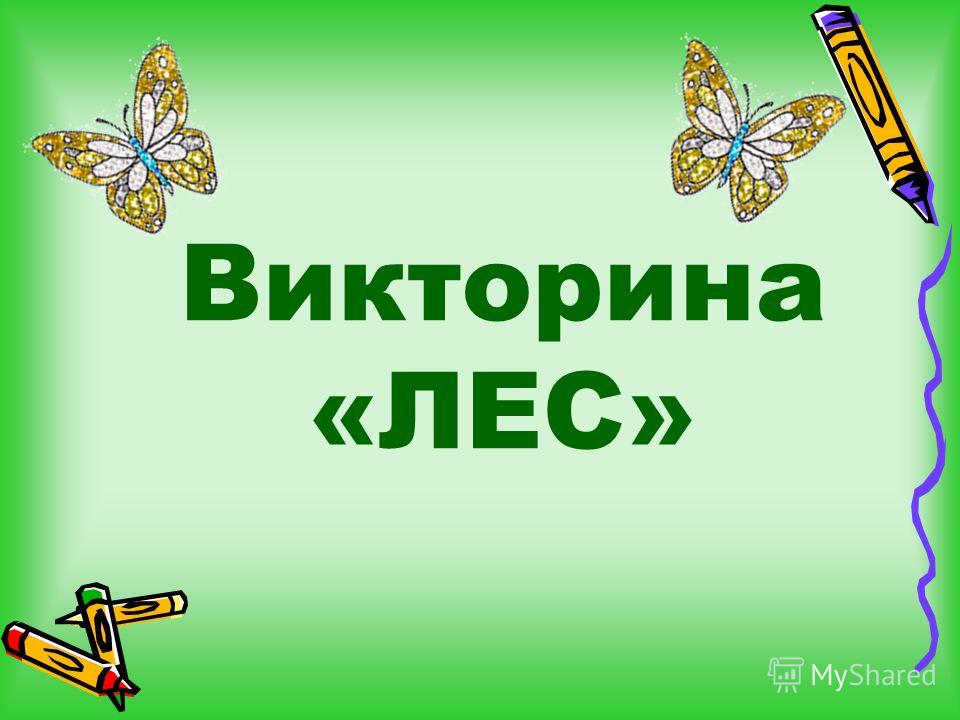 Создать викторину. Викторина. Викторина лес в нашей жизни. Викторина про лес. Викторина о лесах.