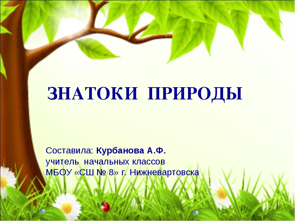 Знатоки природы викторина для начальной школы презентация