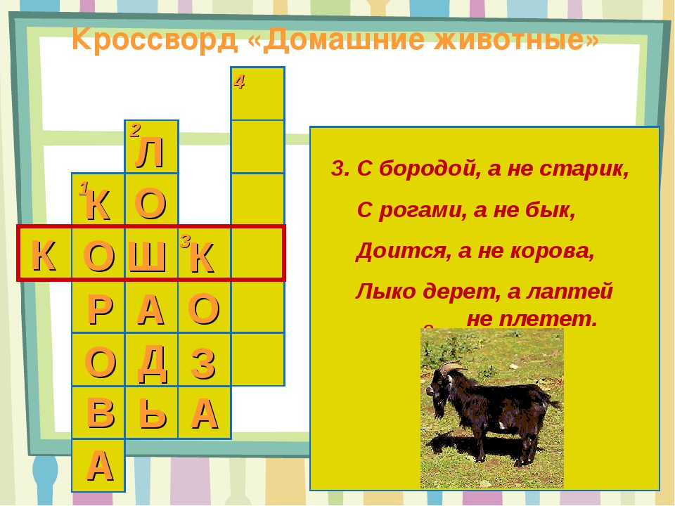 Кроссворд на тему животные. Кроссворд про животных. Красворд на тему 