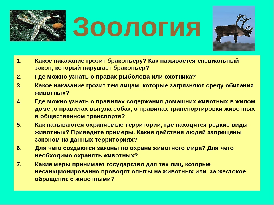 Как называется специальный. Викторина по зоологии. Вопросы на тему Зоология. Викторина на тему биология. Вопросы по зоологии.