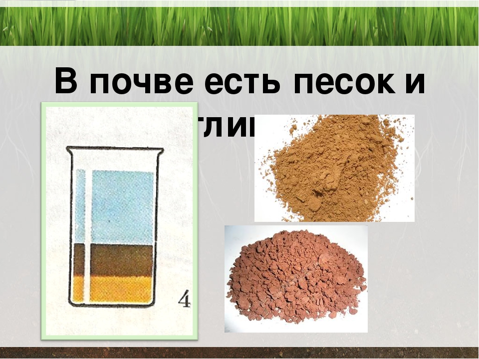 Что есть в почве. Почва песок глина. В почве есть песок и глина. Опыт в почве есть песок и глина. Состав песка и глины.