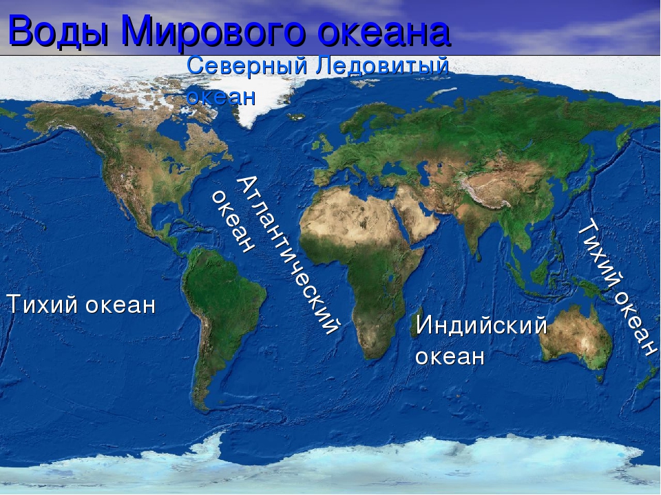 Состав 5 океанов. Карта океанов. Карта мирового океана.