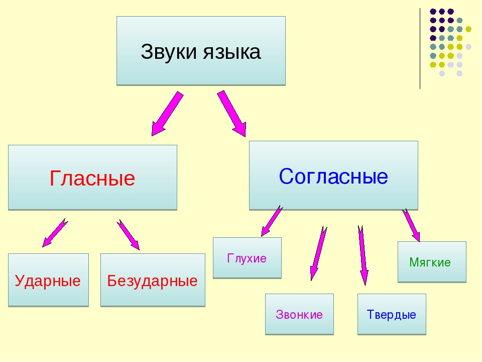 Безударный согласный глухой мягкий. Ударные и безударные согласные. Гласные и согласные ударные и безударные. Ударные и безударные гласные звуки. Ударные и безударные гласные схема.