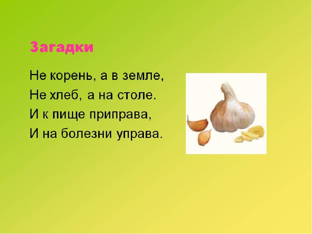 Загадки для второго. Загадки. Загадки для 2 класса. Загадки для 4 класса. Загадки для 3 класса.