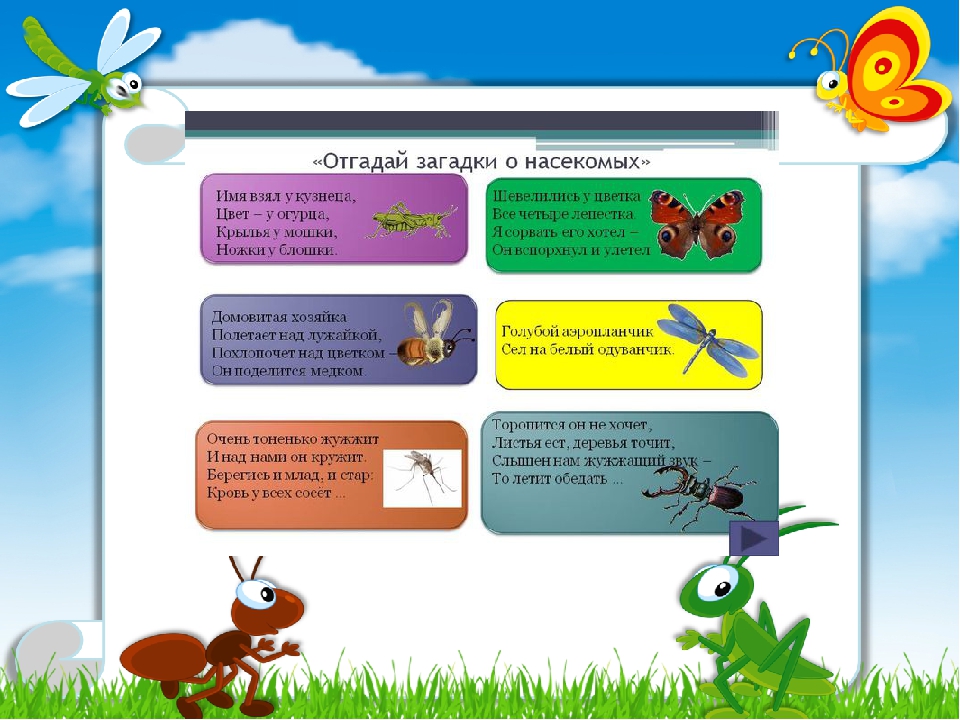 Загадки про насекомых для дошкольников. Загадки про насекомых. Загадки про насекомых для детей. Загадки про насекомых для малышей. Загадки для детей про насекомых с ответами.