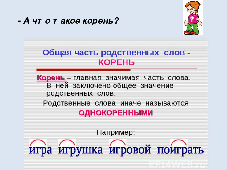 Корень это главная часть. Понятие родственные слова. Что такое родственные слова в русском языке. Русский язык 2 класс родственные слова. Что такое корень в русском языке правило.