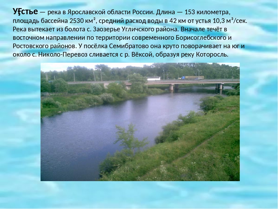 Вода в устье река. Водоемы Ярославля. Водоемы Ярославской области. Реки Ярославской области. Какие реки есть в Ярославской области.