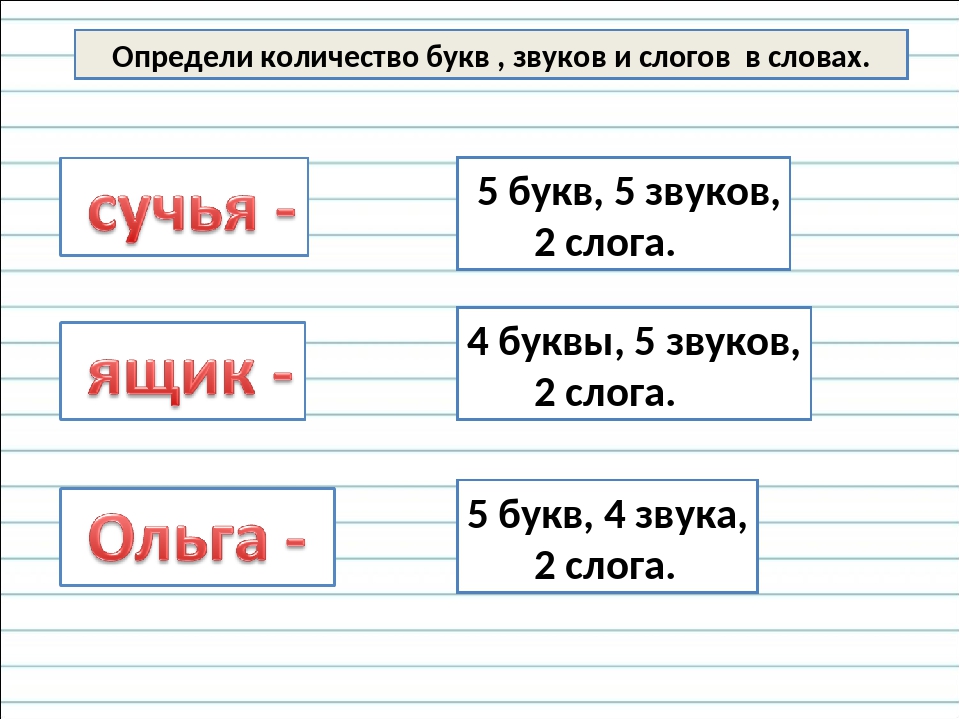 Картина сколько букв и звуков в этом слове