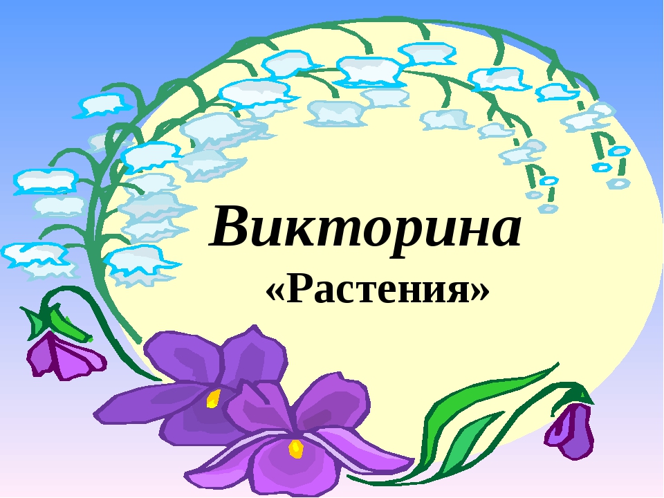 Экологическая викторина для начальных классов с ответами презентация