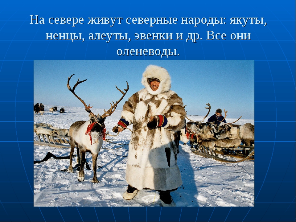 Какой народ является самым северным народом евразии. Традиционные занятия ненцев. Основное занятие северных народов. На севере жить. Народы крайнего севера России для детей.
