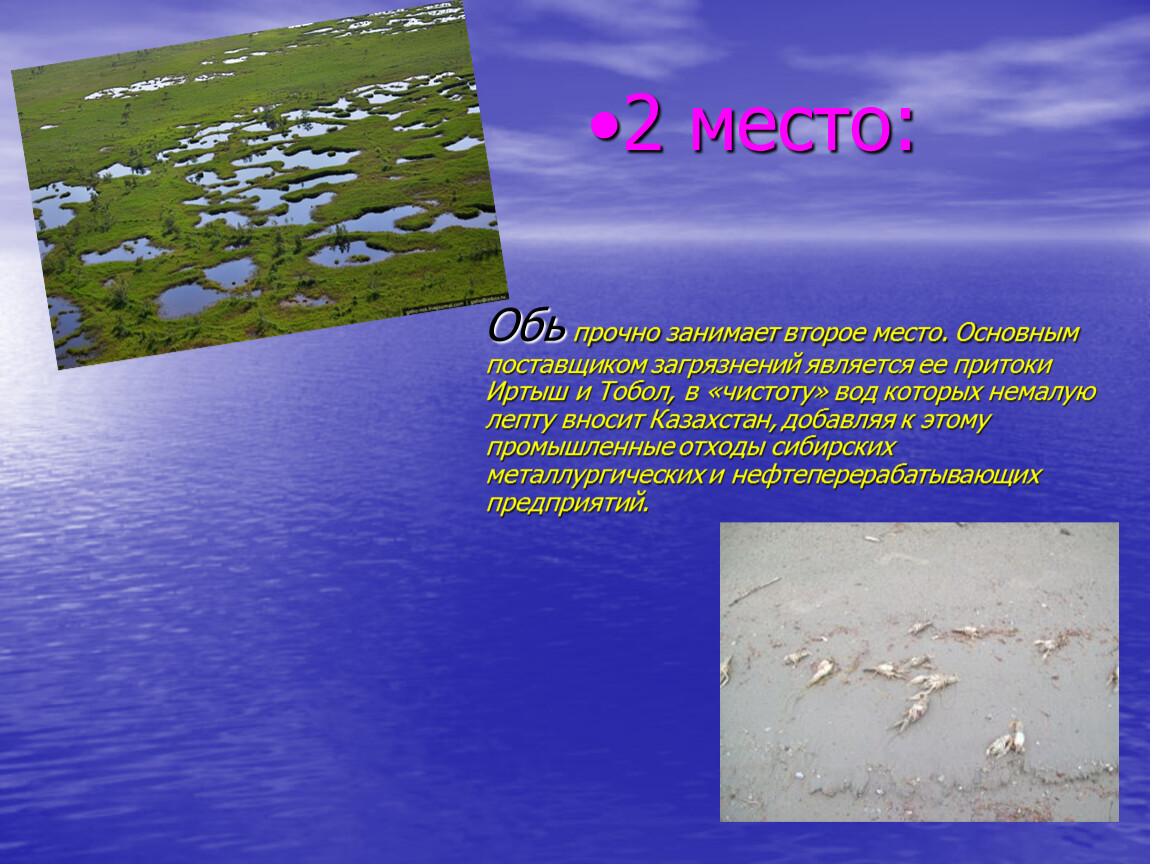 Доклад реки озера. Загрязненные моря и озера. Самые загрязненные реки России. Самый загрязнённый водоём в России. Загрязнение озер.