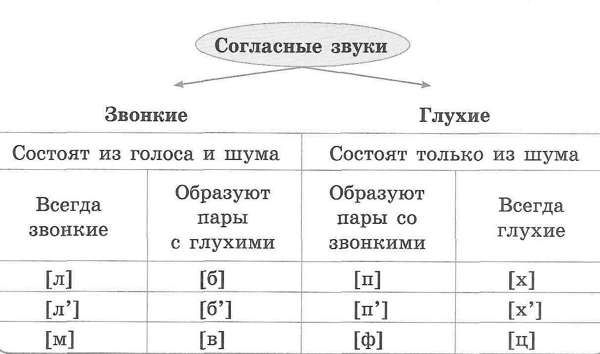 Гласные звуки состоят только из. Звонкие согласные звуки состоят из. Звонкие согласные состоят из шума и голоса. Звонкие и глухие звуки таблица. Глухой согласный звук состоит из шума.